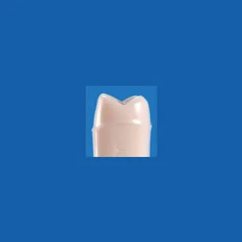 A25AN-UL62, Pre-Prepared Tooth #26 (Full Cast)