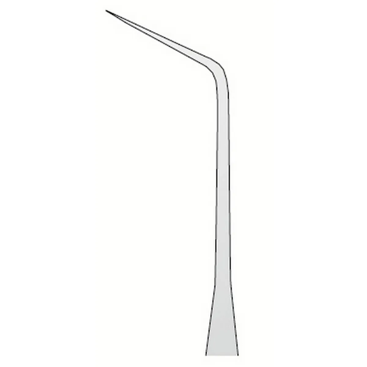 مسبار أناتومي N.6