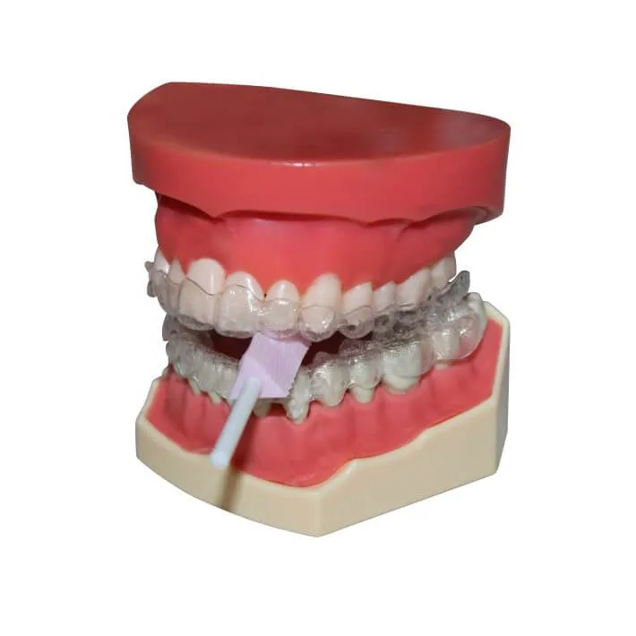 PROM Aligner Chewies شكل منشور ثلاثي مع نكهة