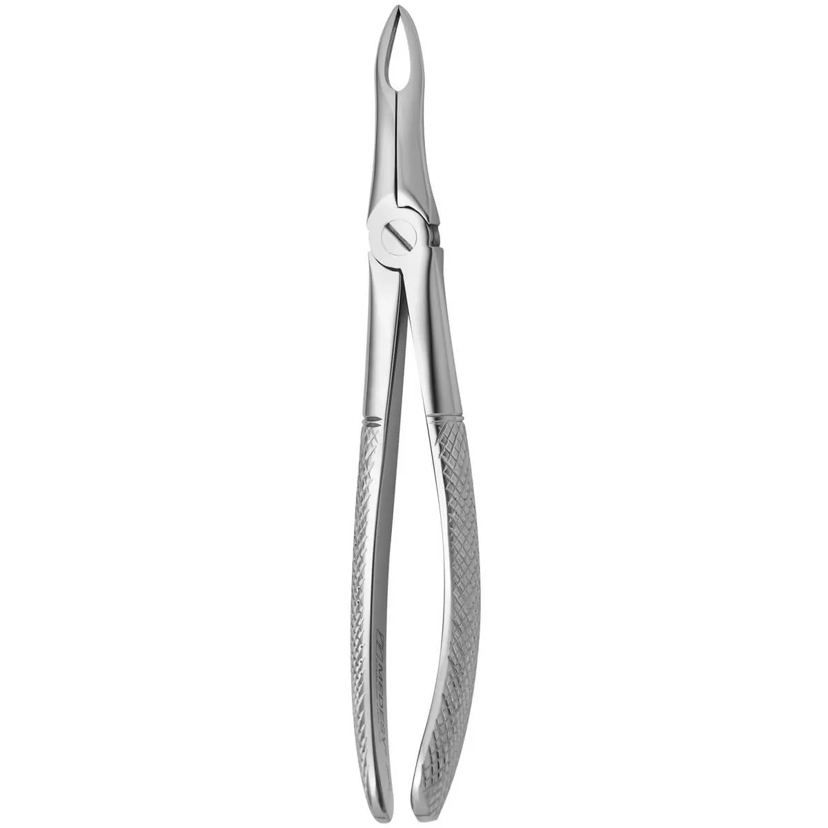 Tooth Forceps N.49