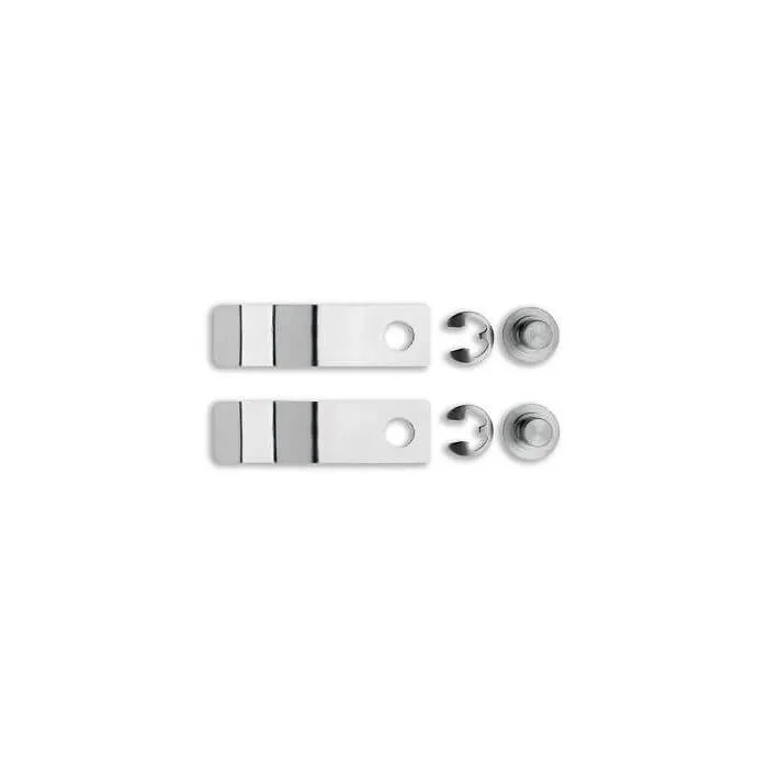 IMS Clip for IMS Cassette 2 Pcs, for hinged Instruments