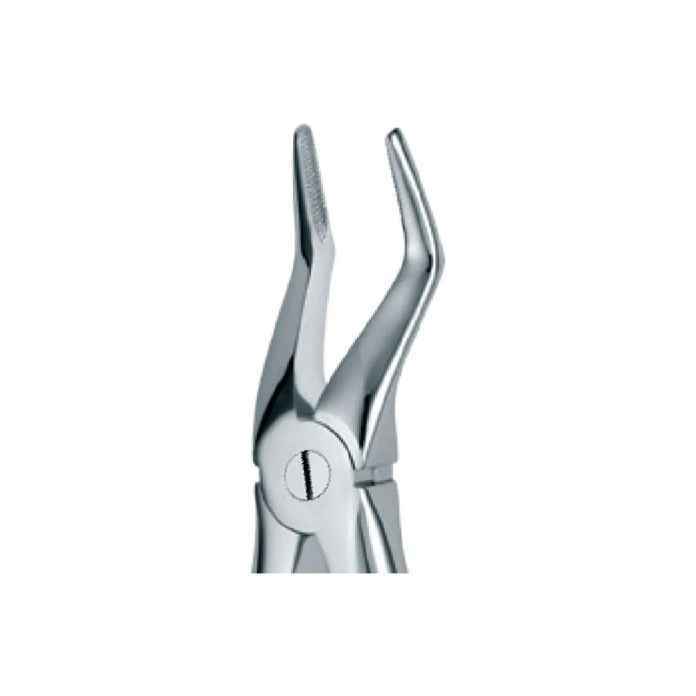 Dental Extraction Forceps 51, Standard Handle