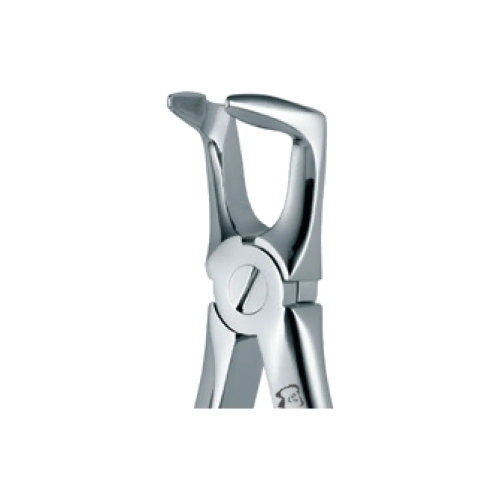 Dental Extraction Forceps 46N, Standard Handle