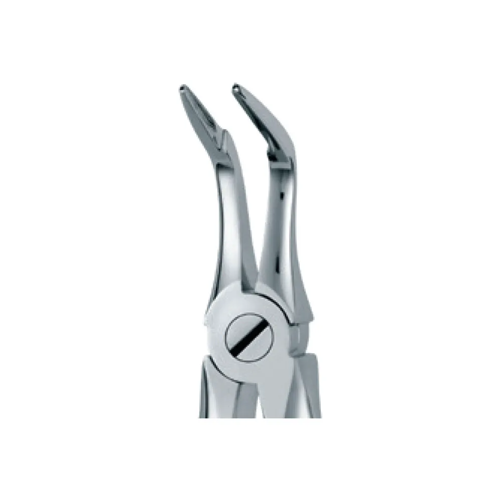 Dental Extraction Forceps 46L, Standard Handle