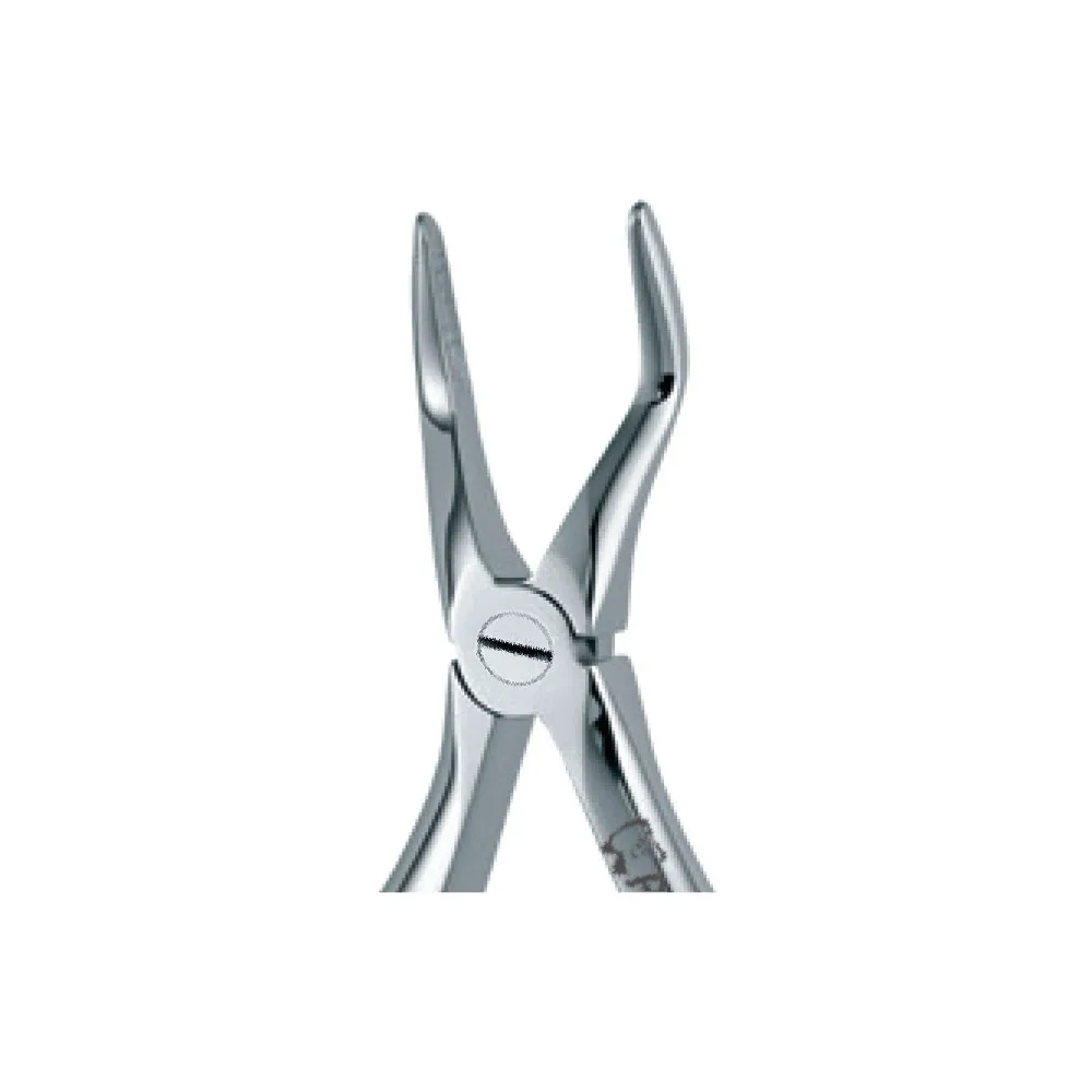 Dental Extraction Forceps 122, Standard Handle