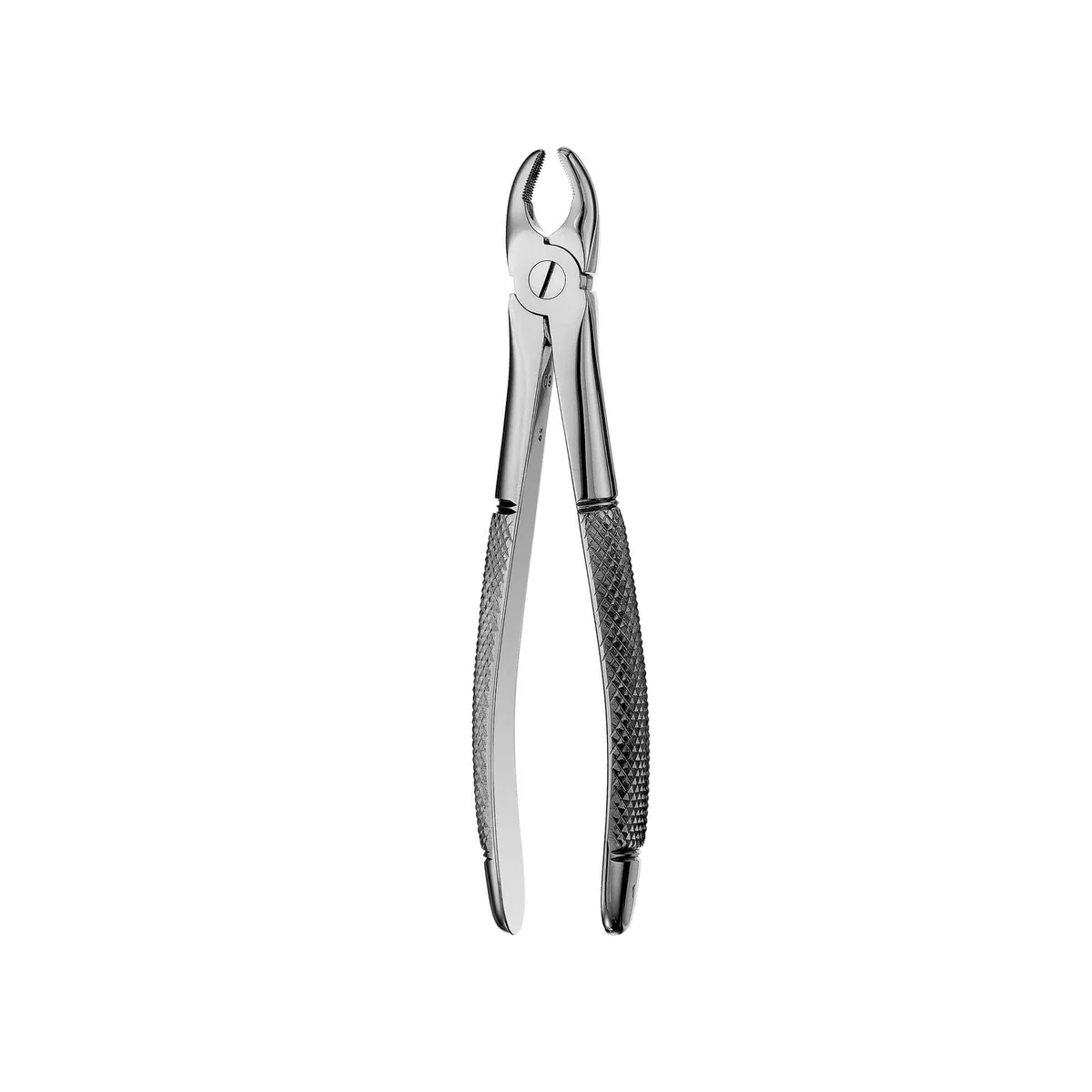 European Style Extraction Forceps #1