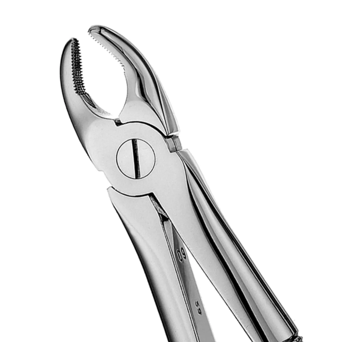 European Style Extraction Forceps #1
