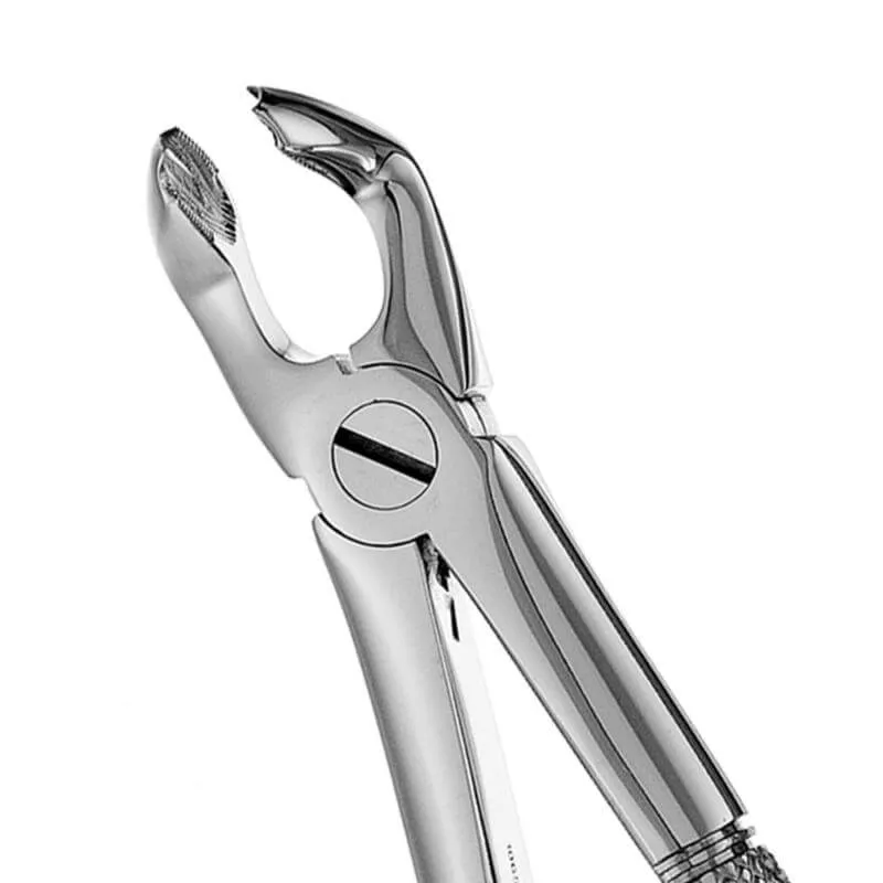 European Style Forceps #79