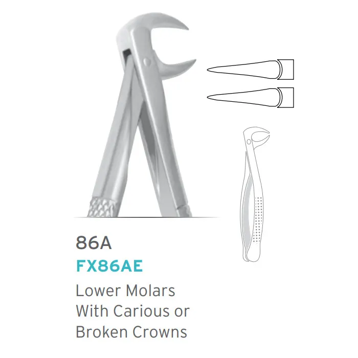 European Style Forceps #86A for Lower Molar with Broken Crown