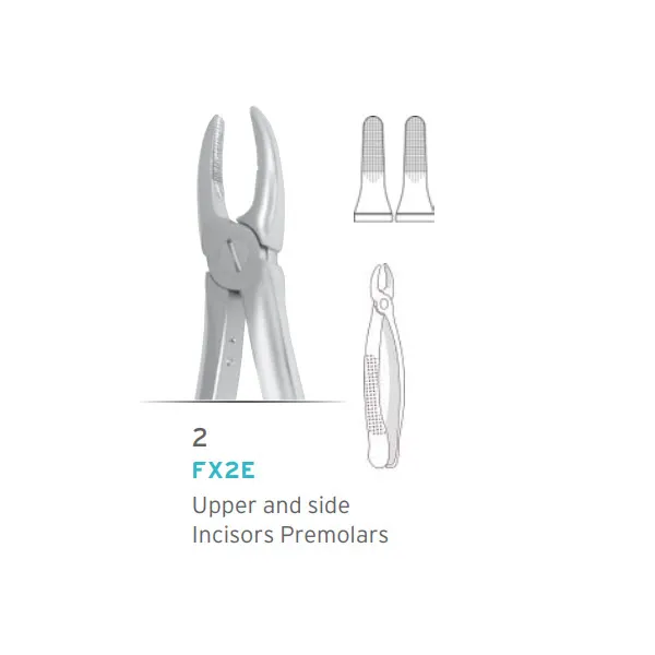 European Style Forceps #2