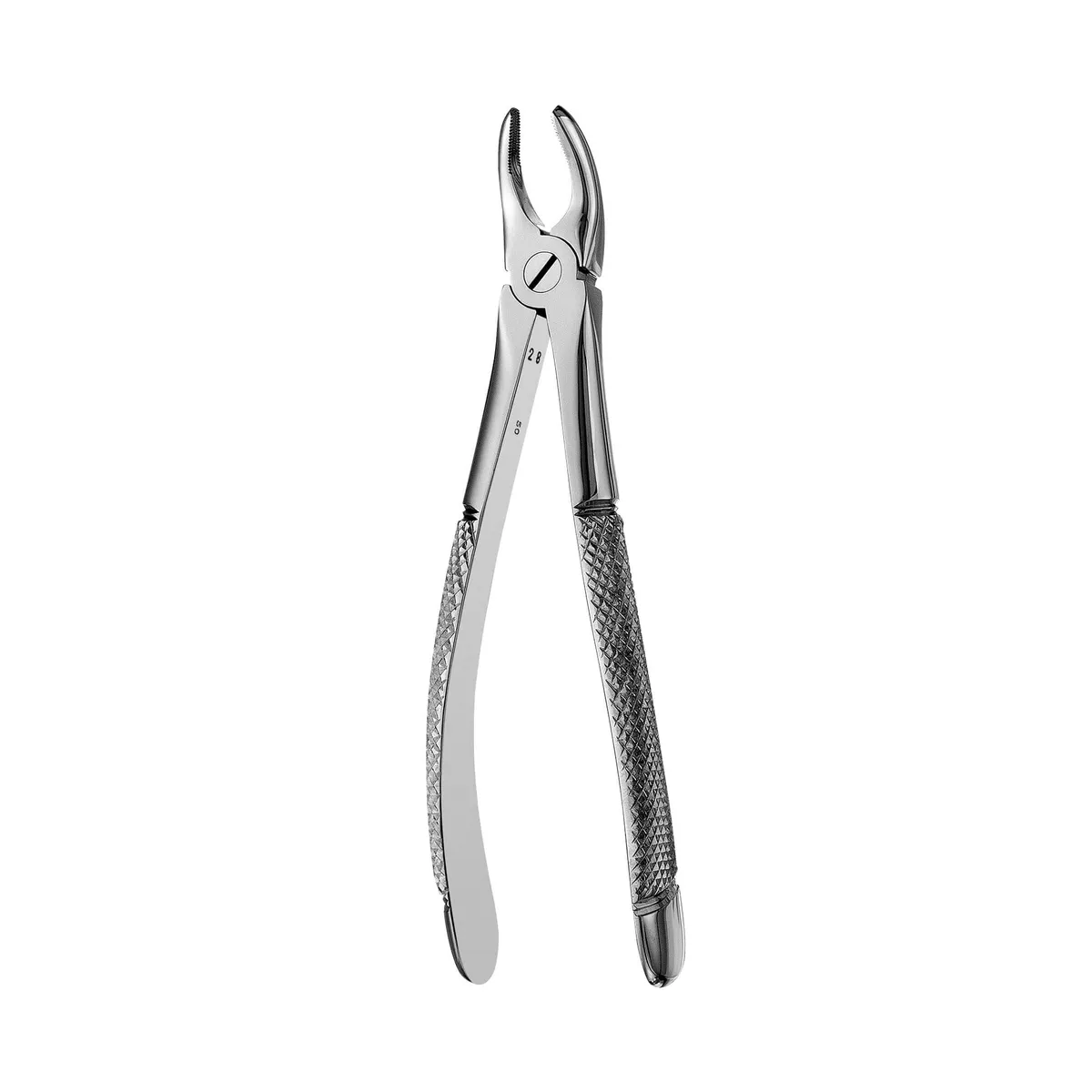 European Style Forceps #7