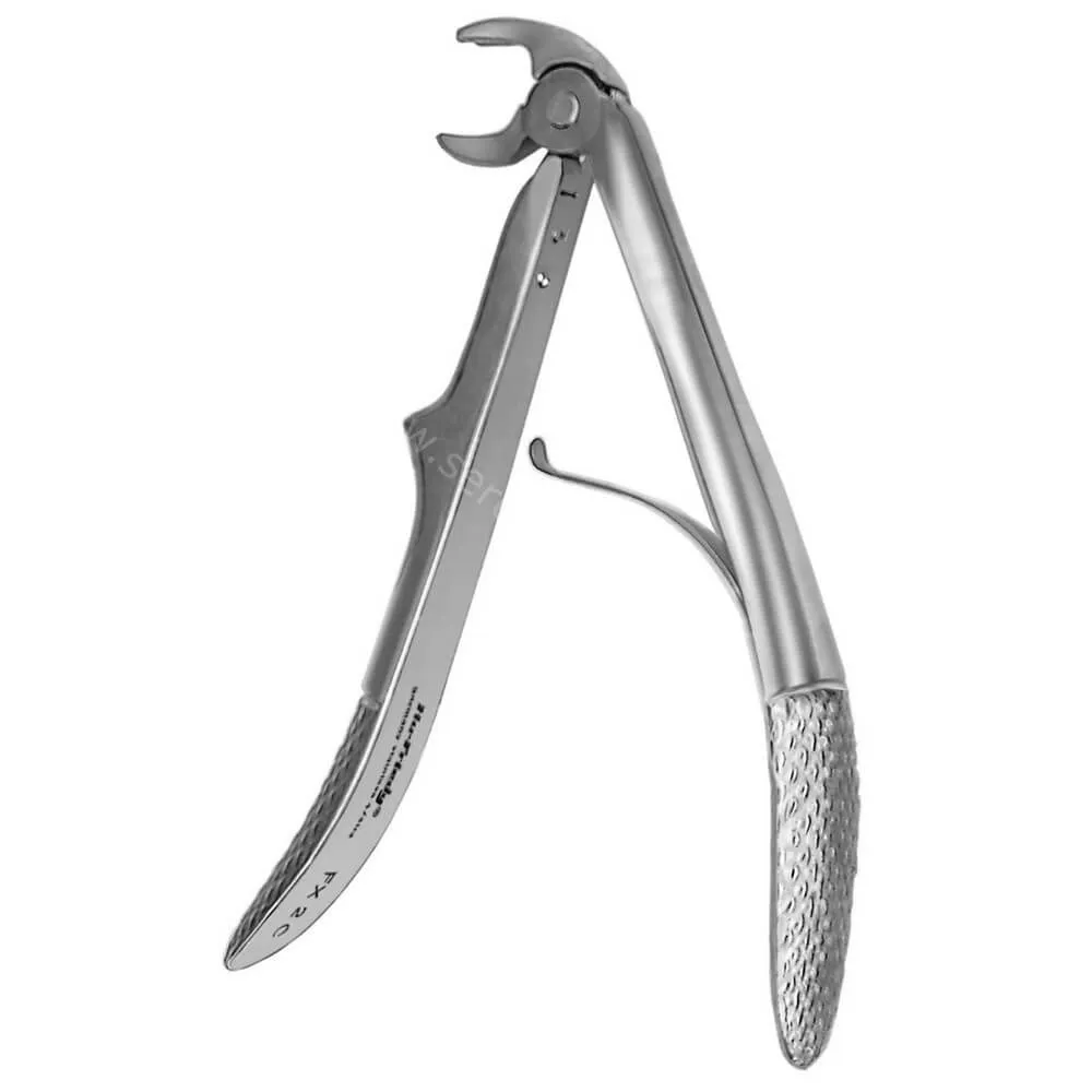 European Style Extraction Forceps #2C