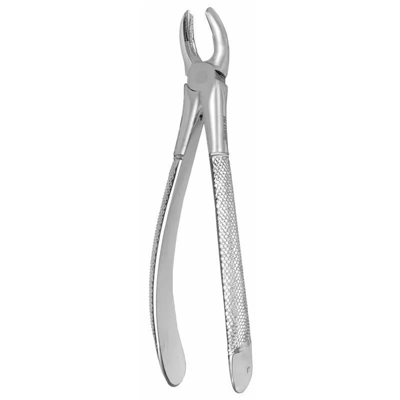 European Style Extraction Forceps #17