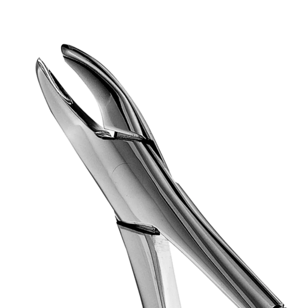 Upper/Lower Incisors, Canines, Premolars Forceps #62