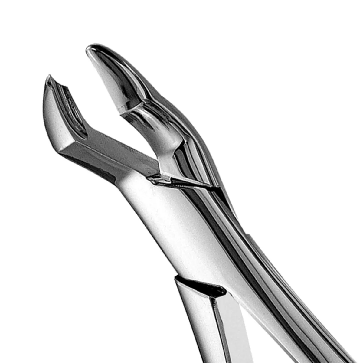 Upper Molars Forceps #53L, Pointed Left