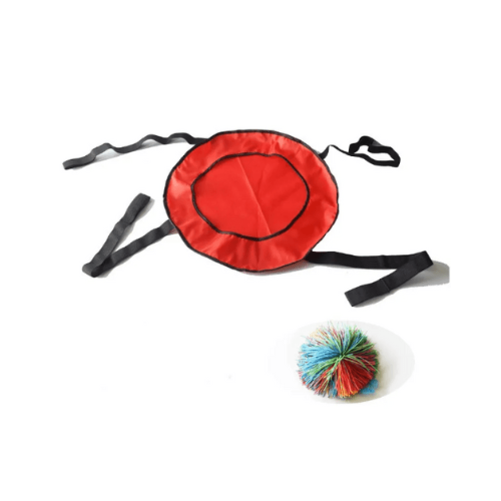 Interactive Ball Toss Game