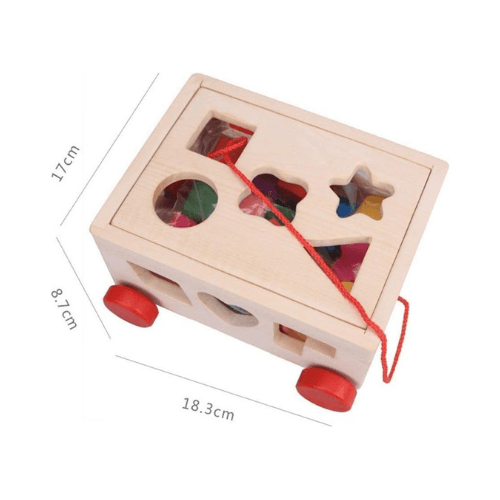 Wooden Cognitive Test Box