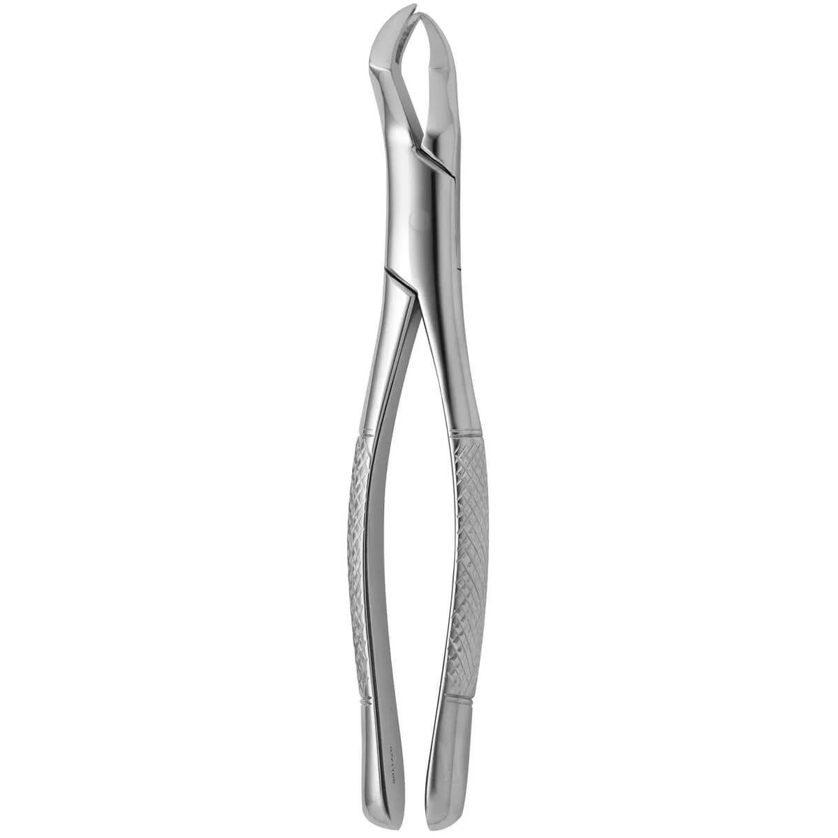 Tooth Forceps American N.88-R