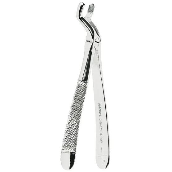 Extracting Forceps N. 67 1/2 L