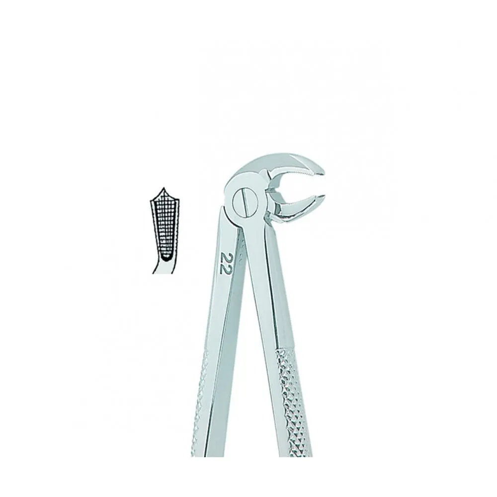 English Extracting Forceps No. 22