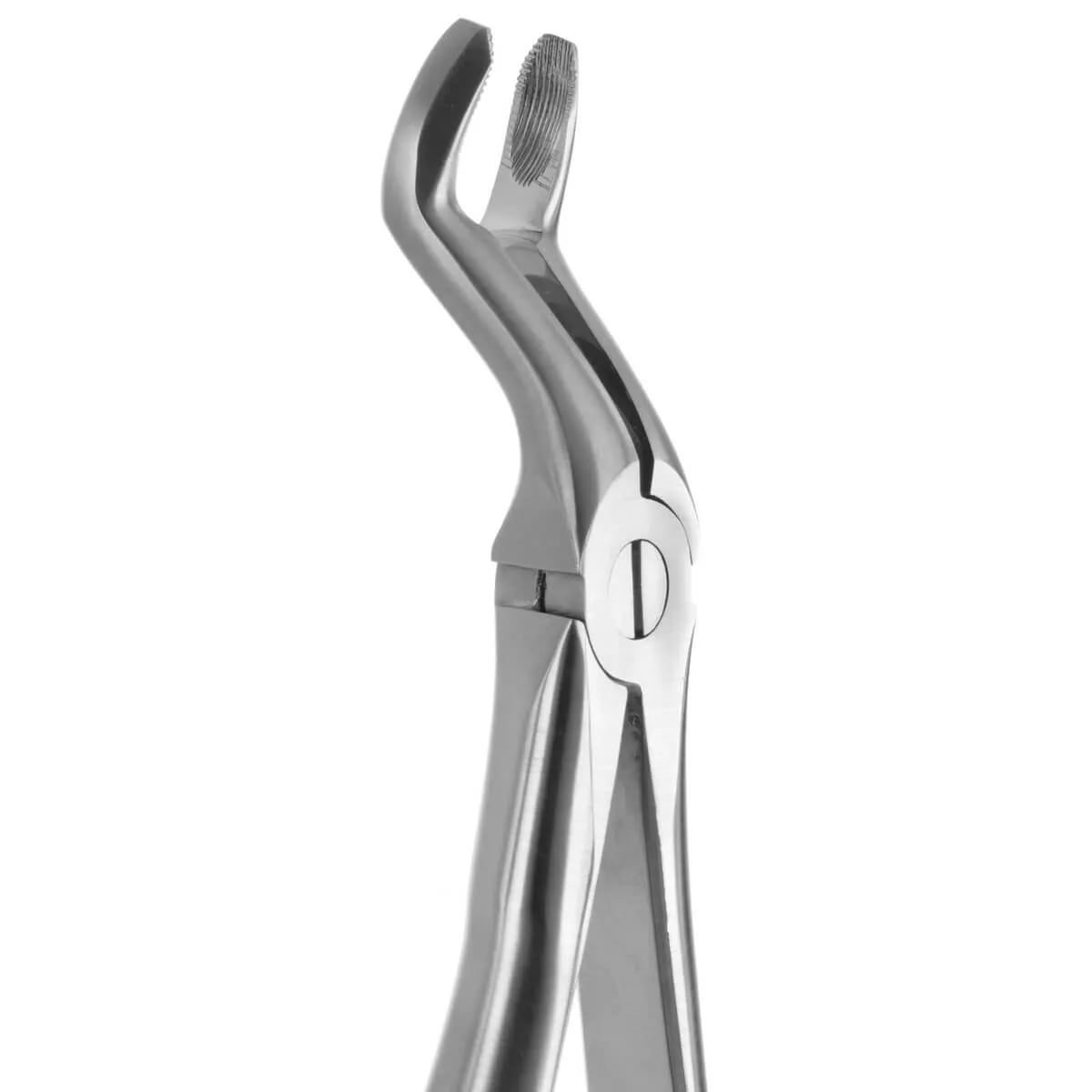 Tooth Forceps Blade Beaks N.67